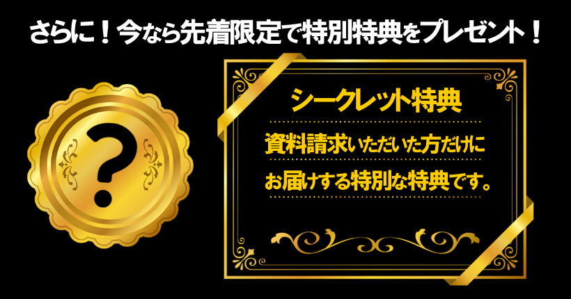 先着限定でシークレット特別特典プレゼント